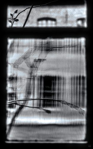 _5094410 (c)Luc Marie MARTIN, diagonalhorizon.fr