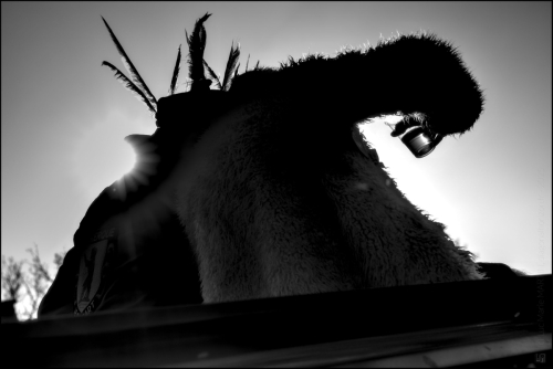 _6II0222©Luc Marie MARTIN, diagonalhorizon.fr