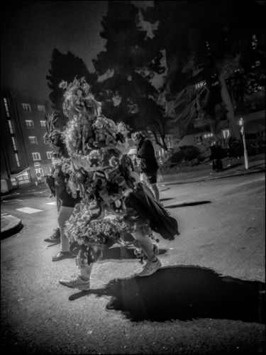 _6II0555-20250302-DxO_DeepPRIME XD2s