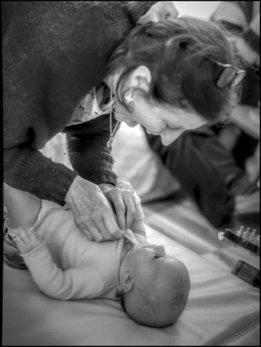 _6II8071-20241225-DxO_DeepPRIME XD2s_01