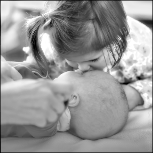 _6II8074-20241225-DxO_DeepPRIME XD2s_02