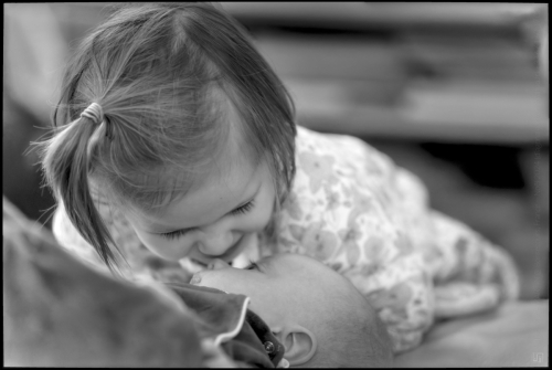 _6II8076-20241225-DxO_DeepPRIME XD2s_01