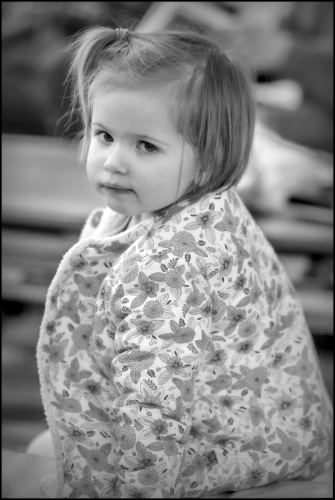 _6II8078-20241225-DxO_DeepPRIME XD2s