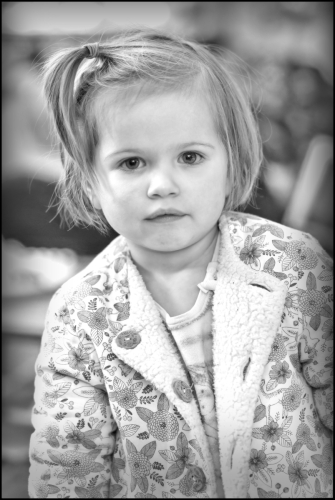 _6II8079-20241225-DxO_DeepPRIME XD2s_01