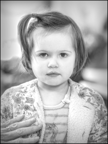 _6II8081-20241225-DxO_DeepPRIME XD2s_01©Luc Marie MARTIN, diagonalhorizon.fr