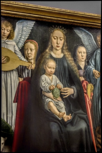 _6II8088-20241226-DxO_DeepPRIME XD2s_01