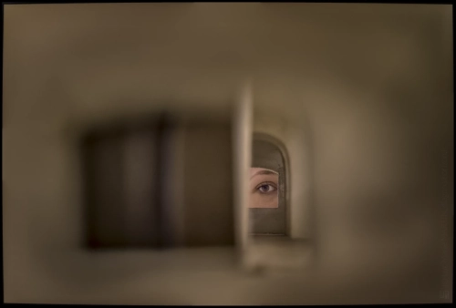 _6II8111-20241226-DxO_DeepPRIME XD2s_01