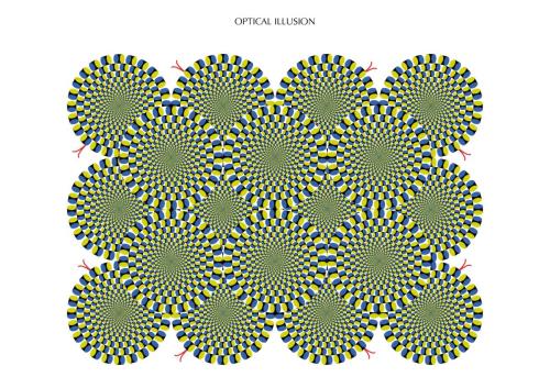 ADOUM Julien Optical Illusion