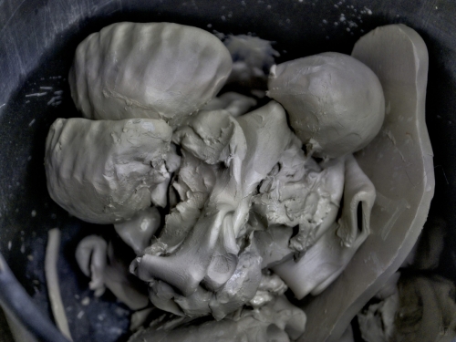 _DSF1002_(c) Luc Marie MARTIN, diagonalhorizon.fr