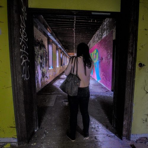 _DSF1241 pas encore vraiment retouchée mais j'aime bien son aspect Warhol ©Luc Marie MARTIN, diagonalhorizon.fr