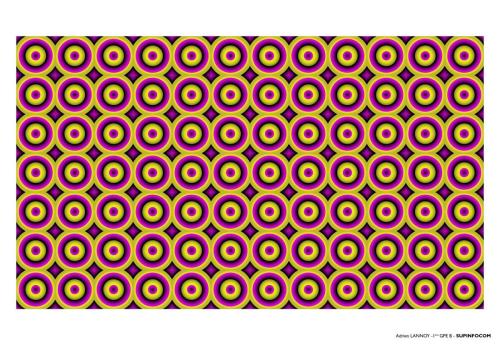 LANNOY Adrien Illusion d_optique_Page_1