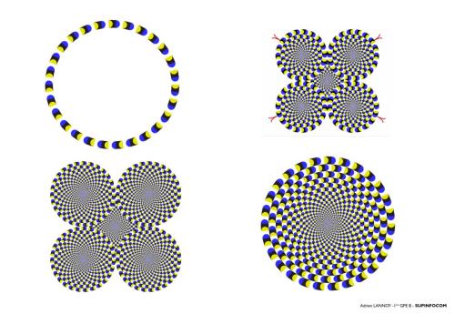 LANNOY Adrien Illusion d_optique_Page_5