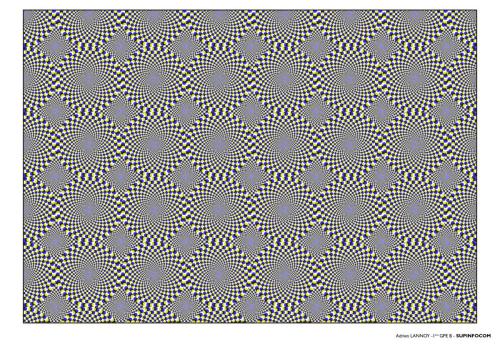 LANNOY Adrien Illusion d_optique_Page_6