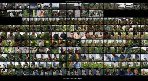 MAX et sa petite entreprise planche contact 1_(c) Luc Marie MARTIN, diagonalhorizon.fr